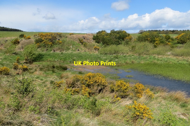 Photo 6"x4" Wetland, Drumdreel Gateside\/NO1809 c2015