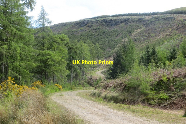 Photo 6"x4" Road crossing Arraty Den Strathmiglo c2015