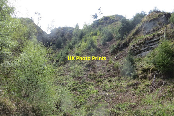 Photo 6"x4" Arraty Den Strathmiglo c2015