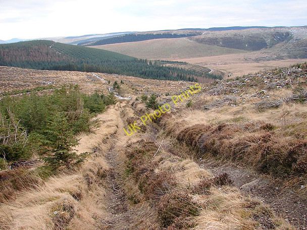 Photo 6"x4" Descending from Drum Maen Tynyrwtra\/SN8885 c2009