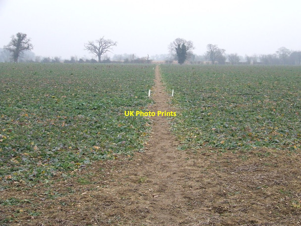 Photo 6"x4" Marked Footpath Saxmundham c2015