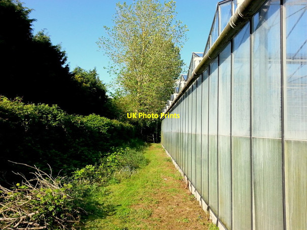 Photo 6"x4" Footpath by glasshouses, 2 Botloe's Green c2015