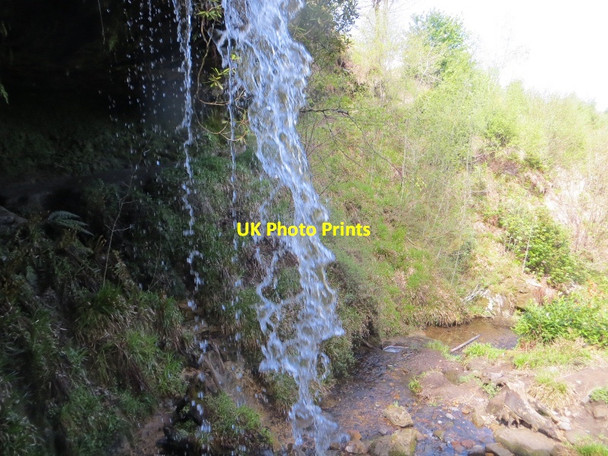Photo 6"x4" Maspie Den Falkland c2015