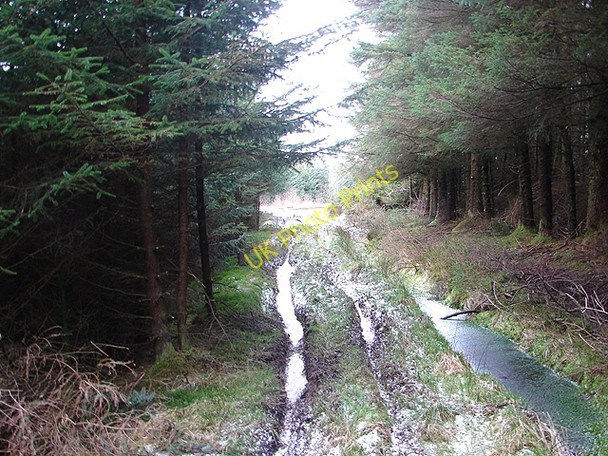 Photo 6"x4" Difficult walking Pant Mawr\/SN8482 c2009