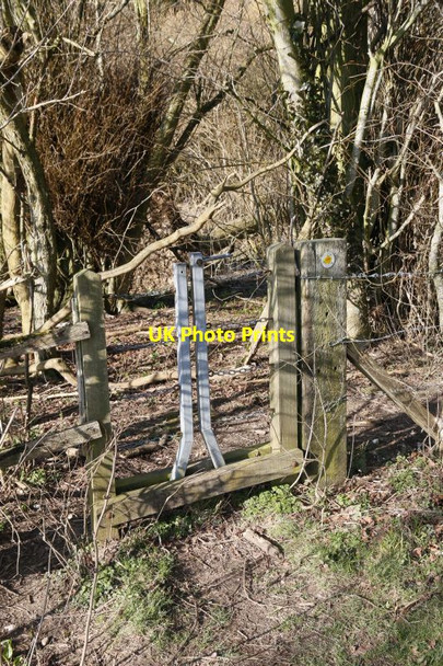 Photo 6"x4" Gate at the End Couch Green c2015