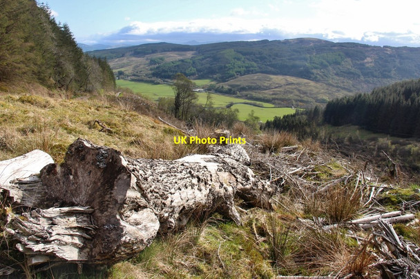Photo 6"x4" Felled forest above Bealachandrain Burn Bealach Maim c2015