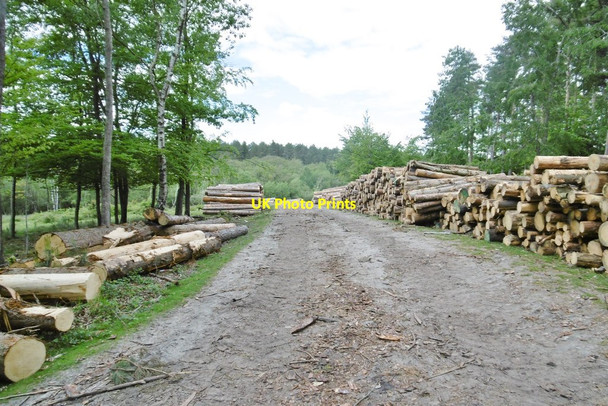Photo 6"x4" Longdown Inclosure, timber Ashurst\/SU3310 c2015