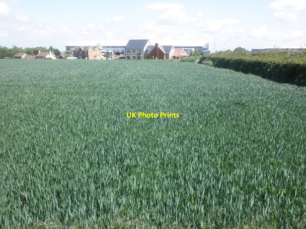 Photo 6"x4" Cereal crop by the A38 Compass\/ST2933 c2015