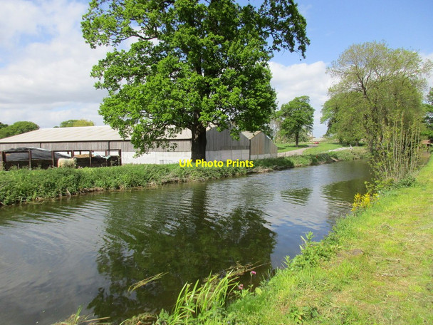 Photo 6"x4" The Chesterfield Canal and Park Farm Scofton c2015