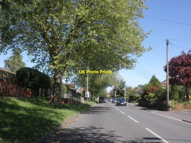 Photo 6"x4" Durleigh Road, Bridgwater Bridgwater c2015