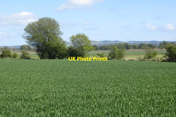 Photo 6"x4" Howe of Fife arable Falkland c2015