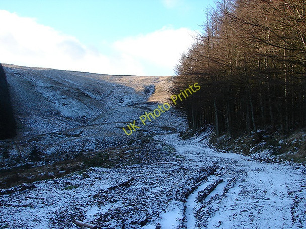 Photo 6"x4" On the edge of Hafren Forest walking towards Blaenbidno Pant Mawr\/SN8482 c2009