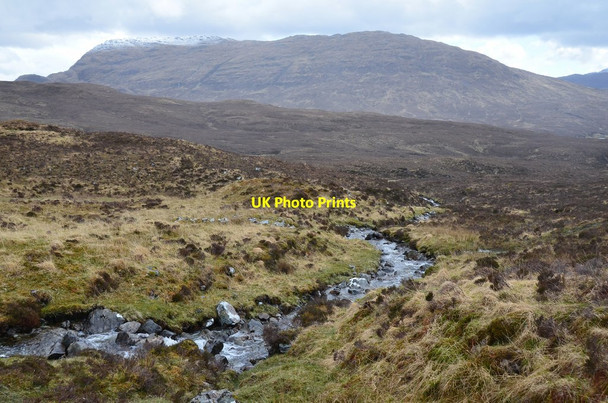 Photo 6"x4" Allt a' Choire Odhair Attadale Forest c2015