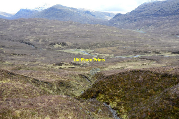 Photo 6"x4" Hillside stream gully Attadale Forest c2015