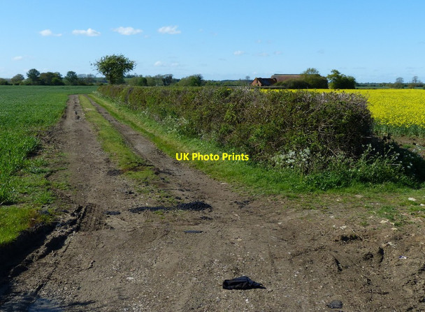 Photo 6"x4" Farm track north of Hill Road Kites Hardwick c2015