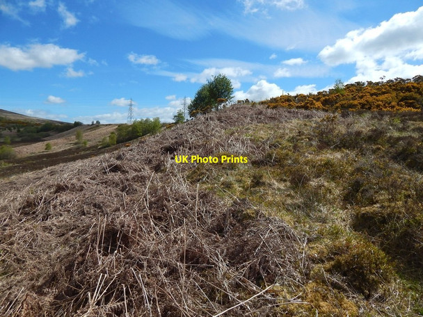 Photo 6"x4" Course of a geological dyke Ardoch\/NS3676 c2015