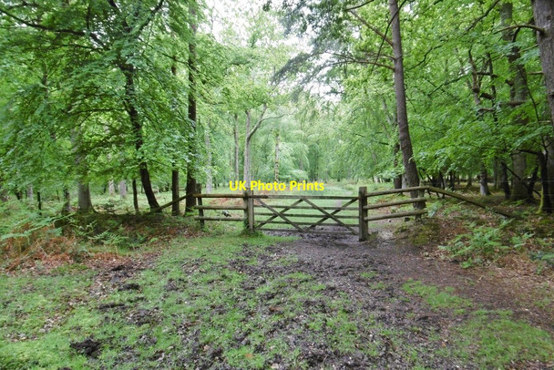 Photo 6"x4" Frame Heath Inclosure, gate Furzey Lodge c2015