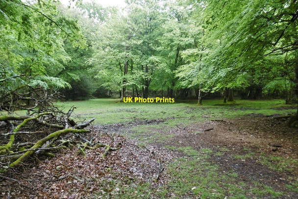 Photo 6"x4" Stubbs Wood, forestry track junction Furzey Lodge c2015