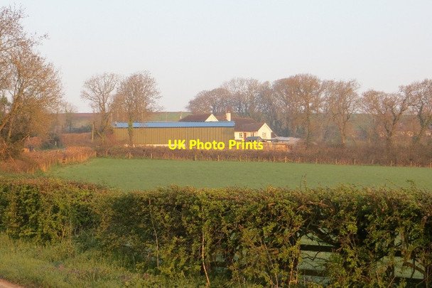 Photo 6"x4" Taunton Cross Lea\/SY2499 c2015