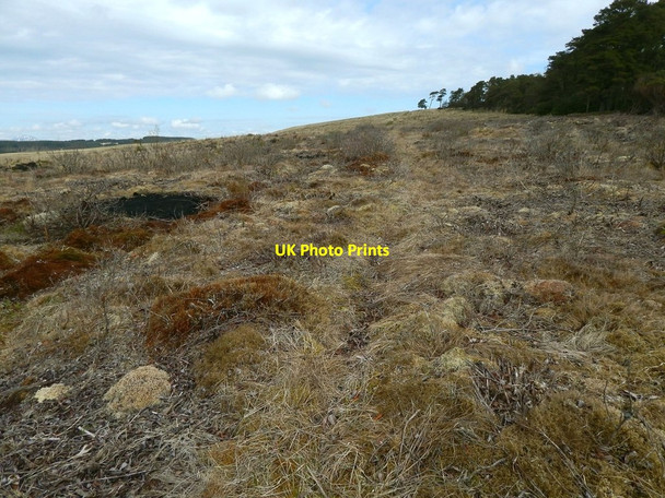 Photo 6"x4" An ancient track Dumbarton c2015