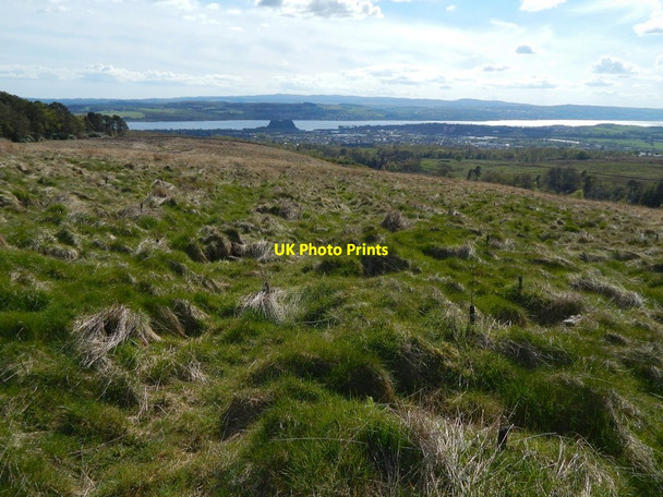 Photo 6"x4" An ancient track Dumbarton c2015