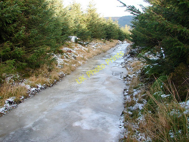 Photo 6"x4" Iced over track in Hafren Forest Pant Mawr\/SN8482 c2009