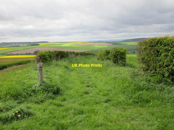 Photo 6"x4" Bridleway to Thirkleby West Lutton c2015