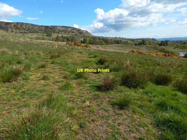 Photo 6"x4" High ground near Garshake Reservoir Dumbarton c2015