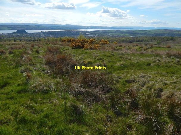 Photo 6"x4" Ancient track Dumbarton c2015