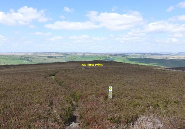 Photo 6"x4" Public footpath heading down from Darden Pike Elsdon\/NY9393 c2015