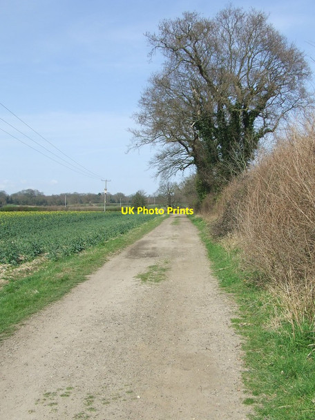 Photo 6"x4" Angles Way Herringfleet c2015