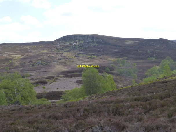 Photo 6"x4" Looking over the heather and Darden Burn Darden Burn\/NY9696 c2015