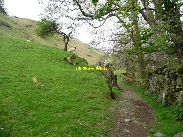 Photo 6"x4" Bridleway from Sosgill bridge to St John's Church Dale Bottom\/NY2921 c2015