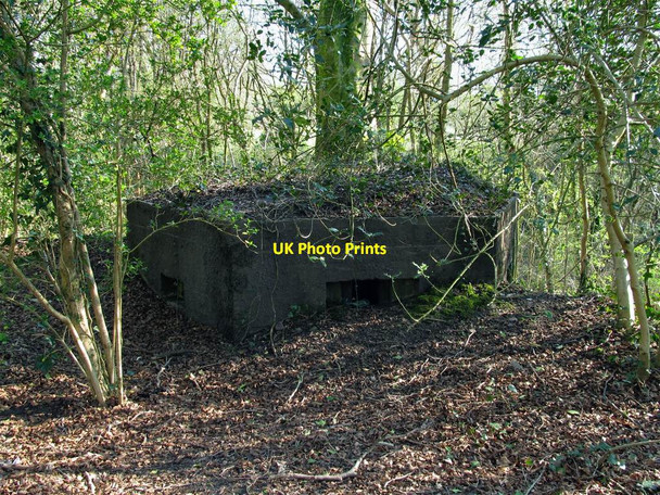Photo 6"x4" Pillbox on the east side of Clyne railway cutting Killay c2015