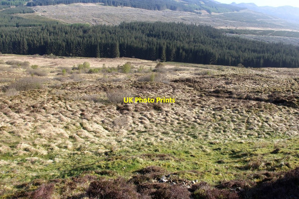 Photo 6"x4" Grassy slope above Abhainn Dubhan Goatfield c2015