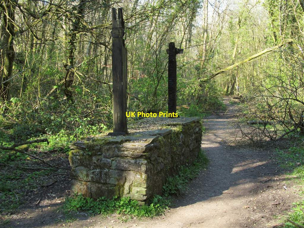 Photo 6"x4" Burnt remains of an information board in Clyne Valley Killay c2015