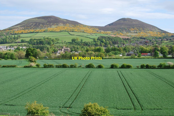 Photo 6"x4" View of the Eildon Hills and Melrose in spring Melrose\/NT5434 c2015