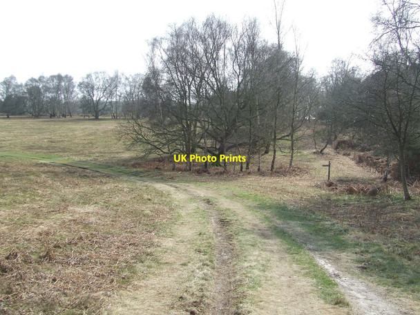 Photo 6"x4" Footpath Looking South Walberswick c2015