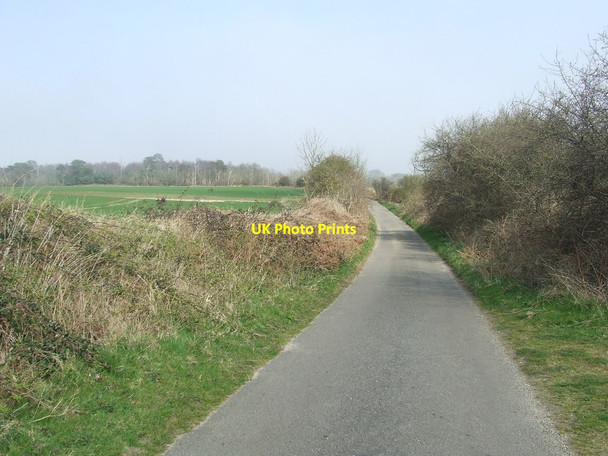 Photo 6"x4" Lodge Road Walberswick c2015