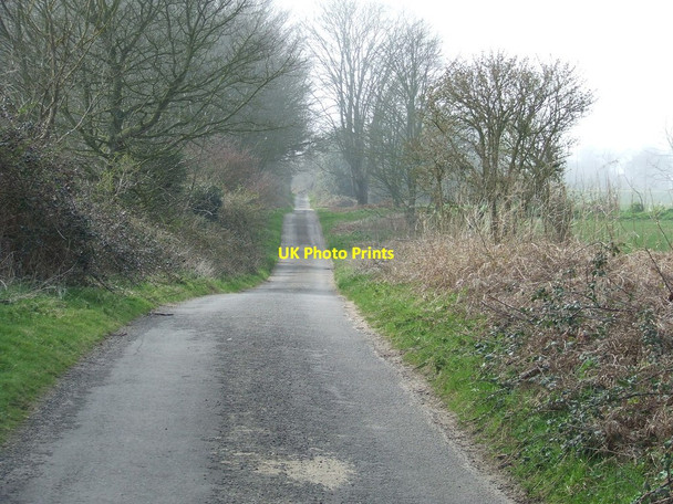 Photo 6"x4" Lodge Road Looking West Walberswick c2015