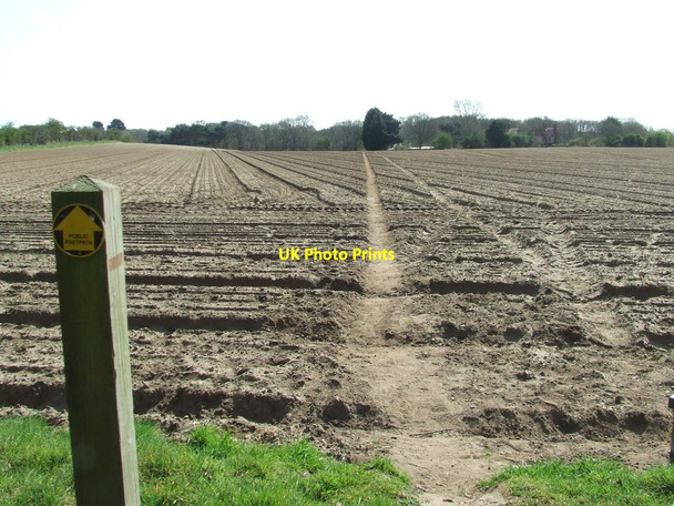 Photo 6"x4" Across Open Field Leiston c2015