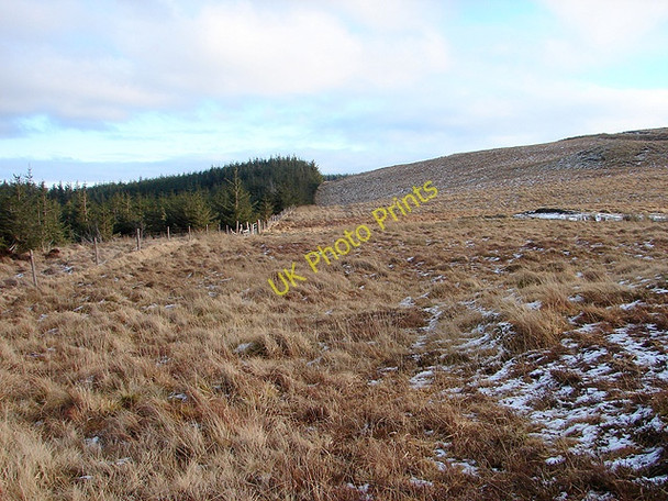 Photo 6"x4" The edge of Hafren Forestry Pant Mawr\/SN8482 c2009