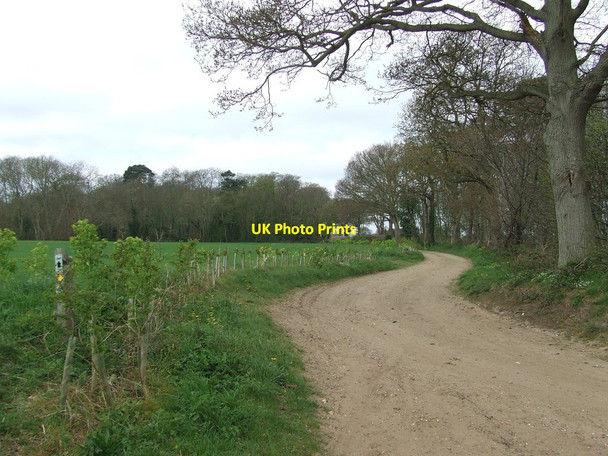 Photo 6"x4" Sandlings Walk Aldringham c2015