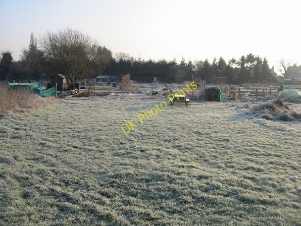 Photo 6"x4" Frosted allotments at Eastry Buttsole c2009