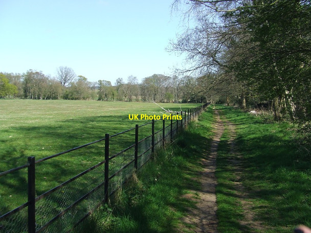 Photo 6"x4" The Sailors Path Friston\/TM4160 c2015
