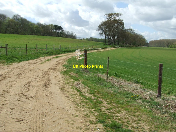 Photo 6"x4" Track And Path Iken c2015