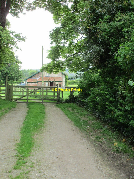 Photo 6"x4" Track to a cottage, Thorpe Bassett Rillington c2015