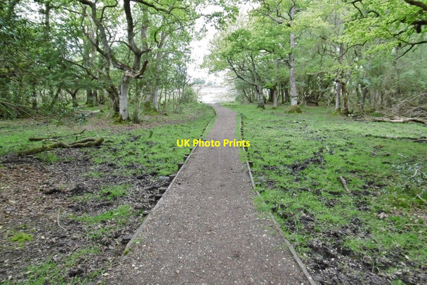 Photo 6"x4" Ipley, causeway Applemore c2015