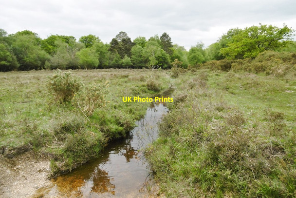 Photo 6"x4" Ipley, ditch Applemore c2015