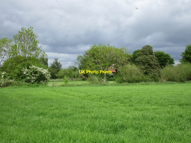 Photo 6"x4" Cottage glimpsed through the trees at Thorpe Bassett Thorpe Bassett c2015